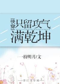 只言片语的意思