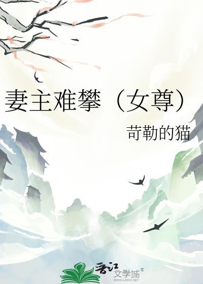 妻主难攀女尊文