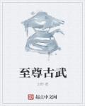 至尊武者全集