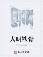大明铁骨TXT全本